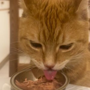 Meet your Posher, Mimi